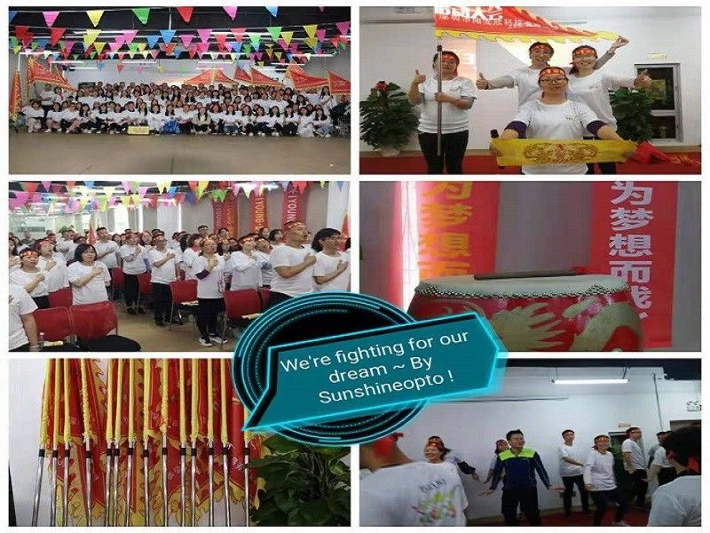 LA CHINE Sunshine Opto-electronics Enterprise Co.,ltd Profil de la société